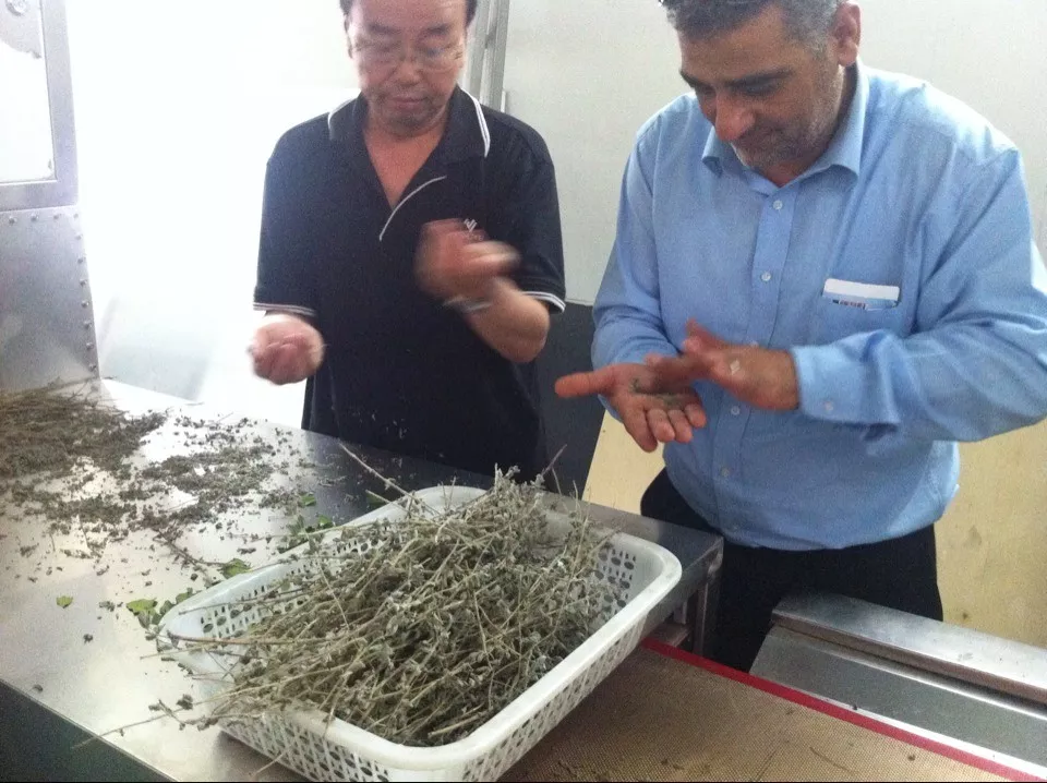 fresh thyme drying.jpg